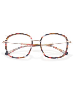 CM588 577 La Distinguée 53/19