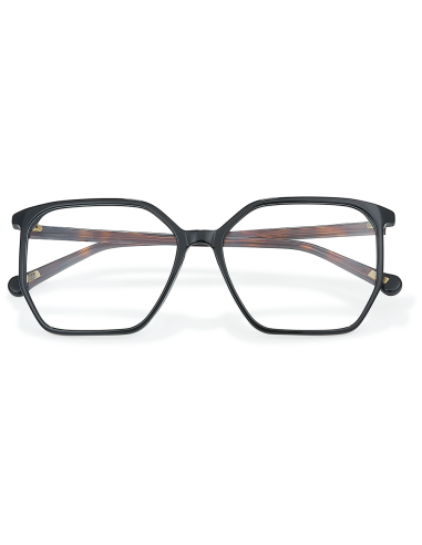 CM610 05 La Virevoltante 55/15